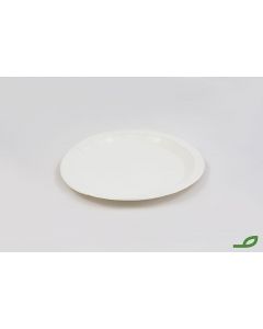 Plato Llano Carton 22cm