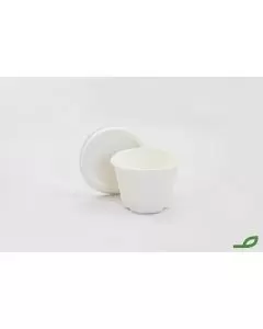 Tarrina Salsera Fibra Caña de Azucar 2oz