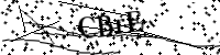 Por favor, introduce estas letras y números