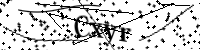 Por favor, introduce estas letras y números