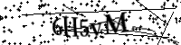 Por favor, introduce estas letras y números