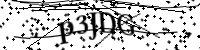Por favor, introduce estas letras y números