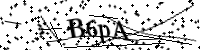 Por favor, introduce estas letras y números