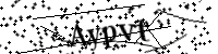 Por favor, introduce estas letras y números