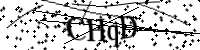 Por favor, introduce estas letras y números